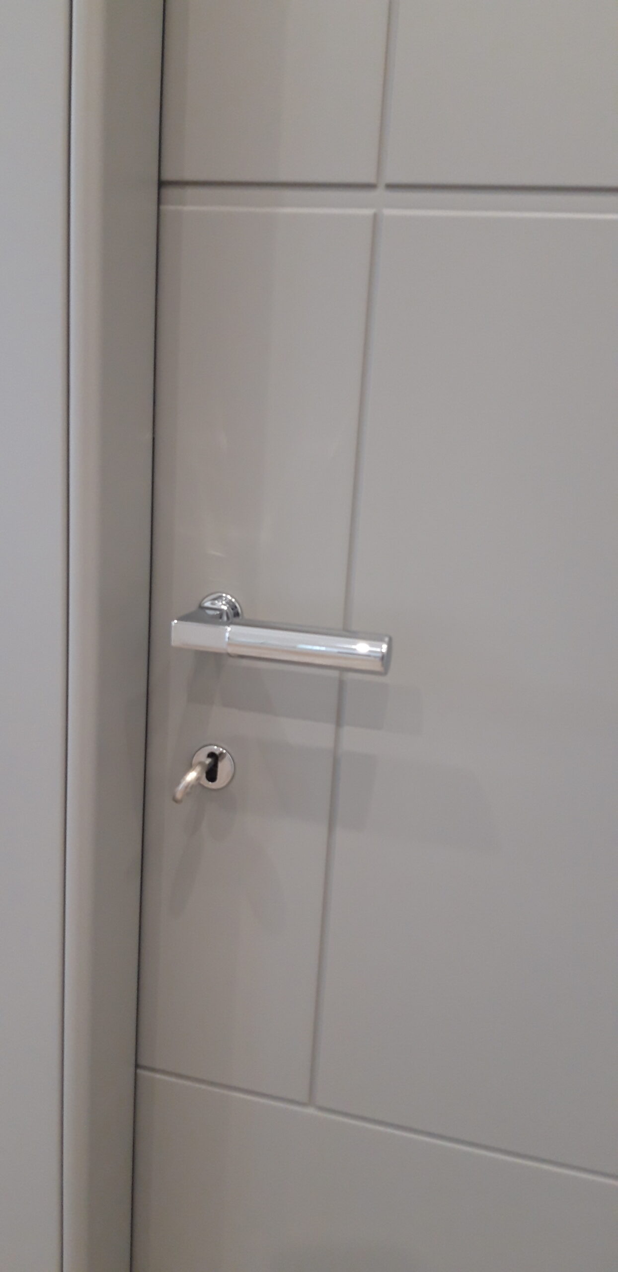 Particolare porta Bertolotto